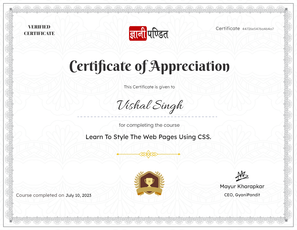 Learn To Style The Web Pages Using CSS.
