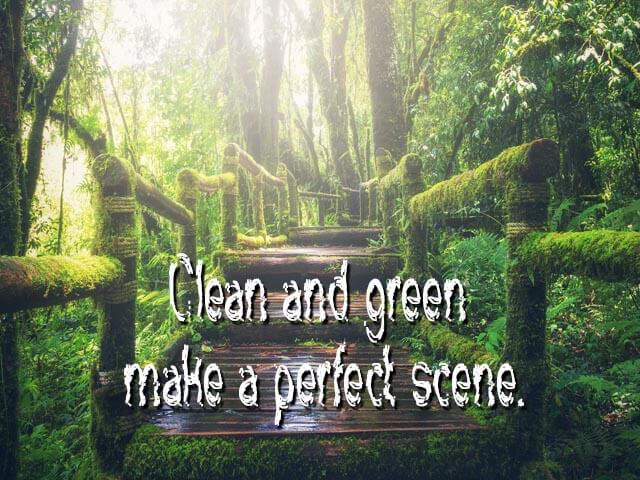 Slogans on Cleanliness