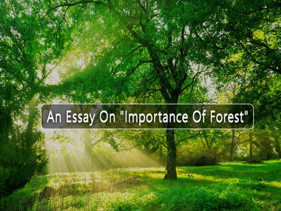 essay on importance of forest 150 words