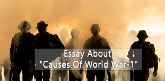 Essay on Causes of World War 1 in English For Students
