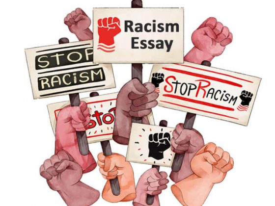 racism essay brainly