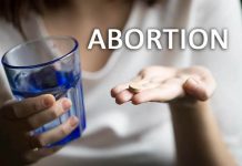 Essay about Abortion for Students & Children Essay about Abortion
