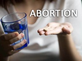 Essay about Abortion