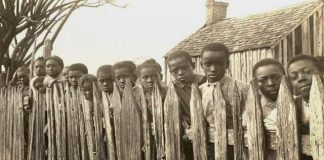 Essay on Slavery in America in English