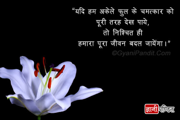 Buddha Quotes on Life in Hindi