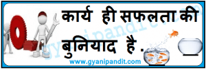motivational thoughts on success in hindi