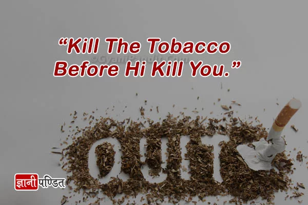 Anti Tobacco Slogans Posters