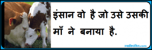 mothers day quotes in hindi