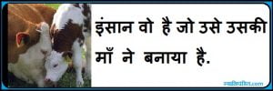 mothers day quotes in hindi