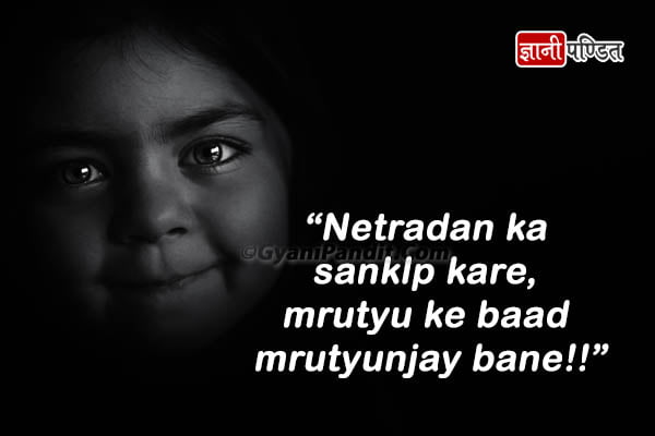 Netradan Slogan