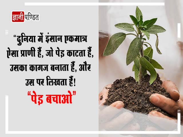 Quotation on Save Trees in Hindi