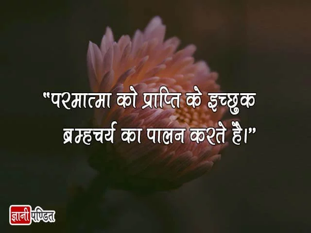 Srimad Bhagavad Gita Quotes in Hindi