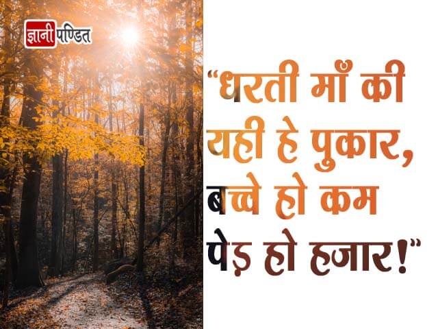 Tree Quotes in Hindi