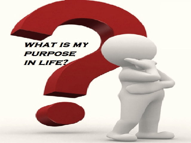 what is the meaning of life in hindi