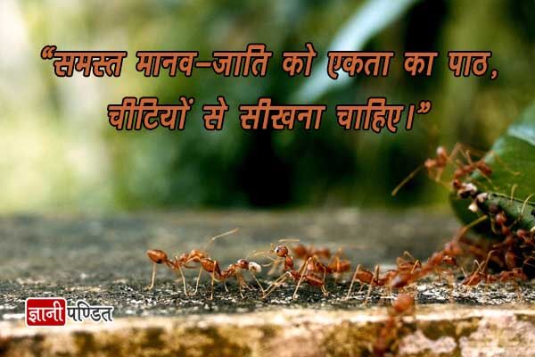 Quotes on Unity in Hindi