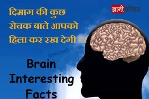 Amazing Facts About Human Brain In Hindi