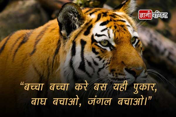 Slogan On Save Tiger In Hindi | बाघ बचाव पर नारे