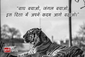 Best Slogan on Save Tiger