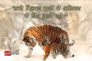 Catchy Tiger Slogans