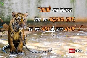 Posters on Save Tigers with Hindi Slogans