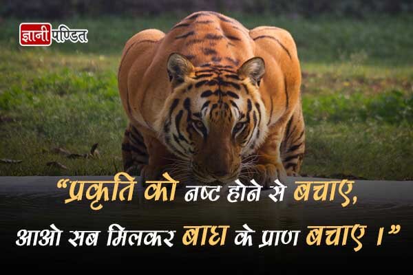 Save Tiger Slogan