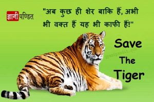 Slogan On Save Tiger In Hindi