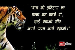 Slogan on Save Tiger