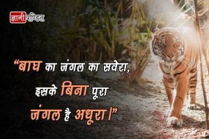 Tiger Bachao par Slogans