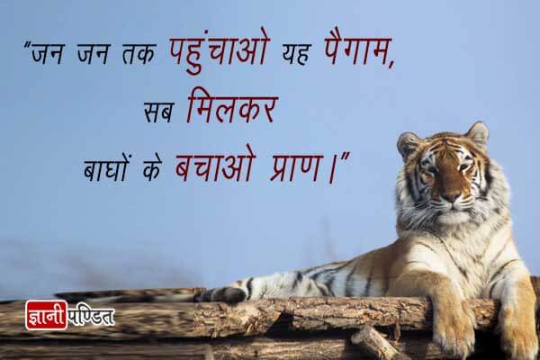 Tiger par Slogan