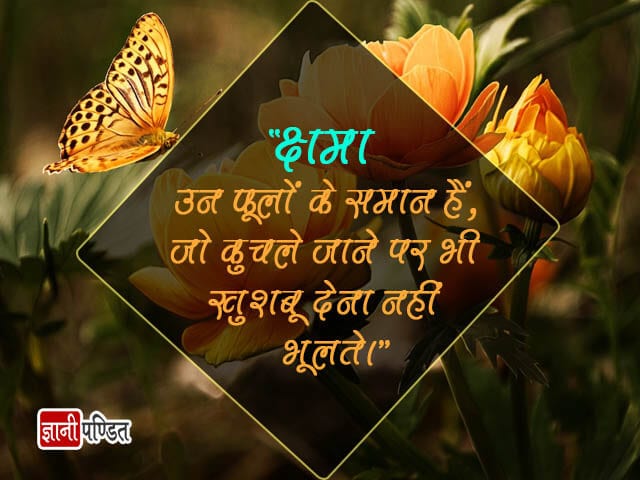 Hindi Quotes on Forgiveness