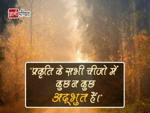 Hindi Quotes on Nature