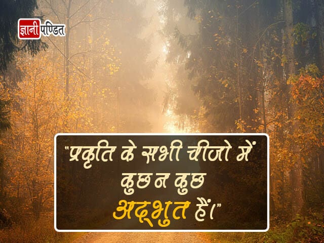 Hindi Quotes on Nature