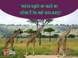 Lines on Nature in Hindi