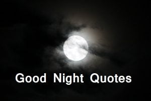 Good Night Quotes