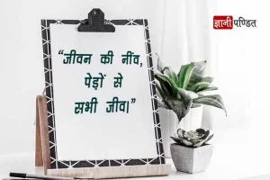 Save Paper Slogan in Hindi