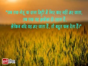 Hindi Bible Verses Images