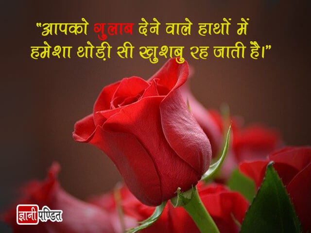 Flower Quotes in Hindi