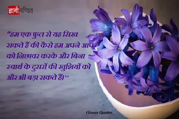 फूलों पर कुछ अनमोल सुविचार - Flower Quotes in Hindi