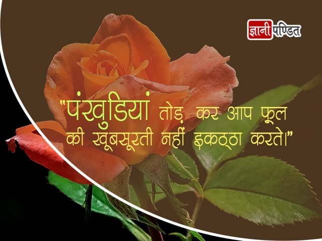 Flower Thought in Hindi