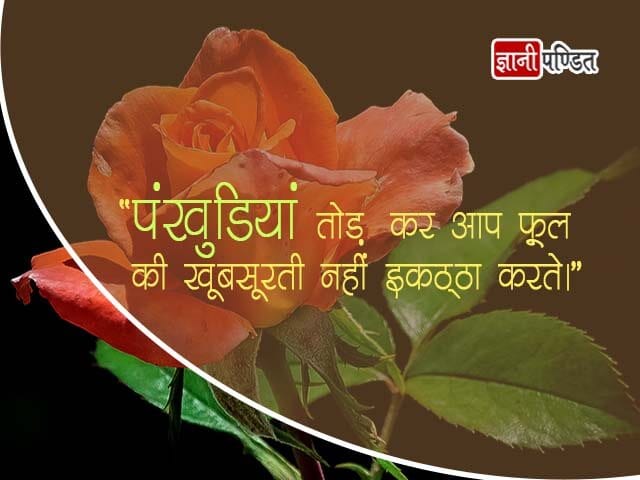 Flower Quotes In Hindi