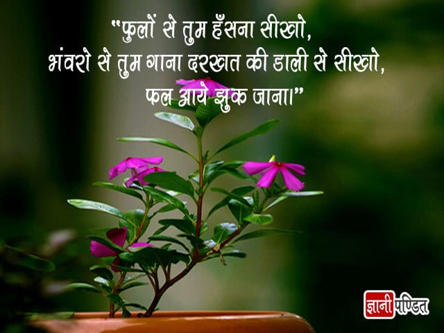 Flowers Shayari in Hindi