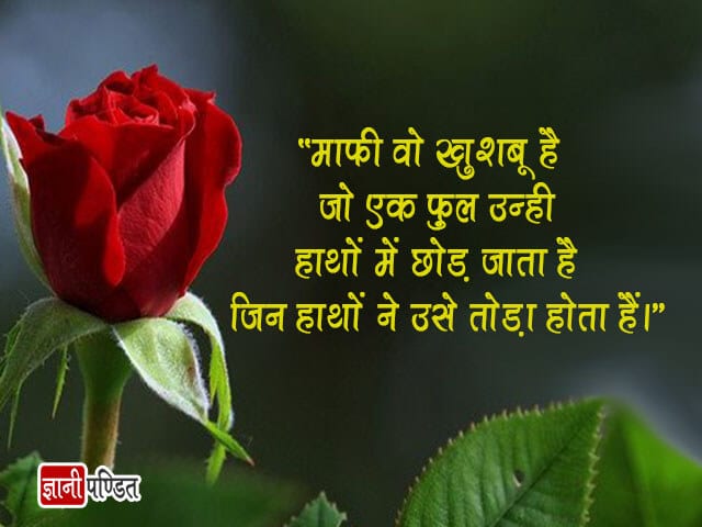 Quotes on Rose Flower in Hindi