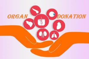 Slogans on Organ Donation