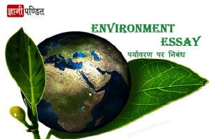 Environment essay