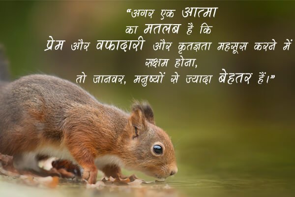 जानवर पर ही कुछ कोट्स | Animal Quotes Hindi