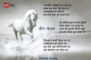 Chetak Horse