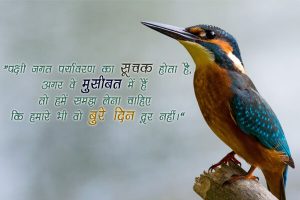 Love for Animals in Hindi