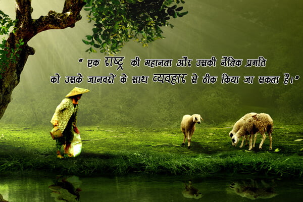 Quotes about Animals - GyaniPandit