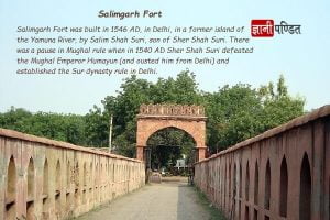 Salimgarh Fort