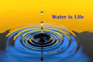 Water is Life Essay